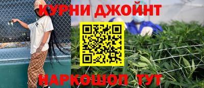 дмт Аргун