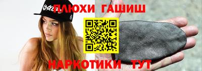 дмт Аргун