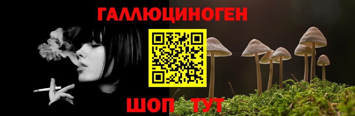 Псилоцибиновые грибы прущие грибы Борисоглебск